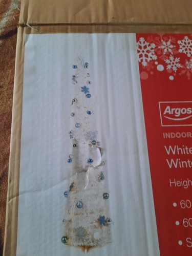 White pop tree winter - up,