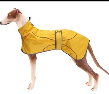 Lightweight Yellow Waterproof