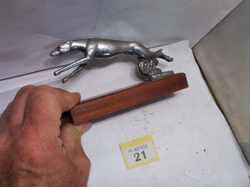 Greyhound car mascot - greyhound,