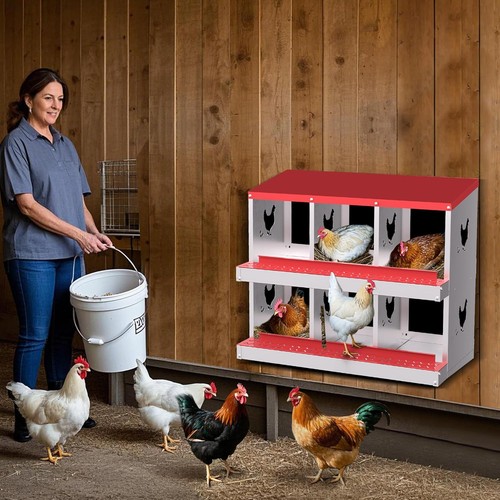 Compartment chicken nest - 6-compartment,
