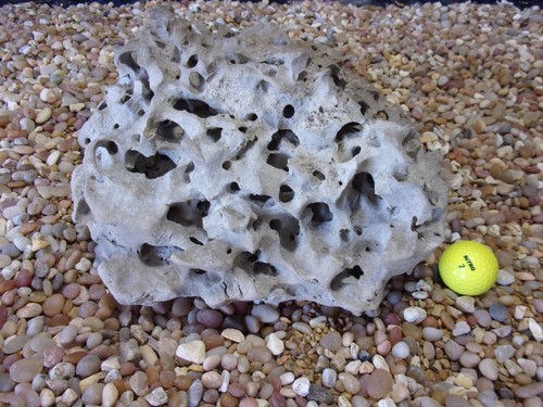 Texas holey rock - texas/tn,