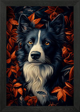 Border Collie Portrait with