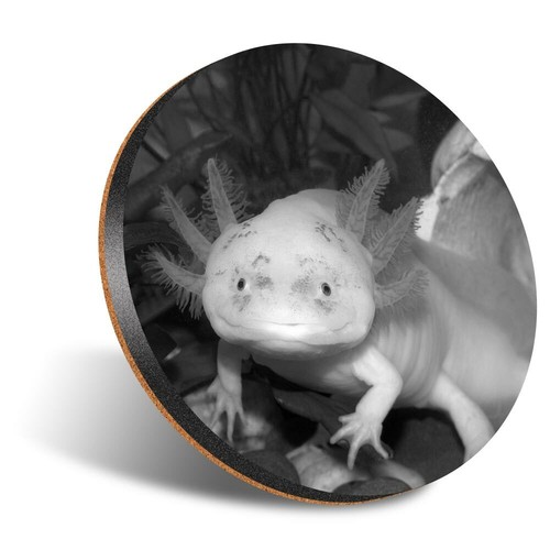 Round 12cm coaster bw - 1, x