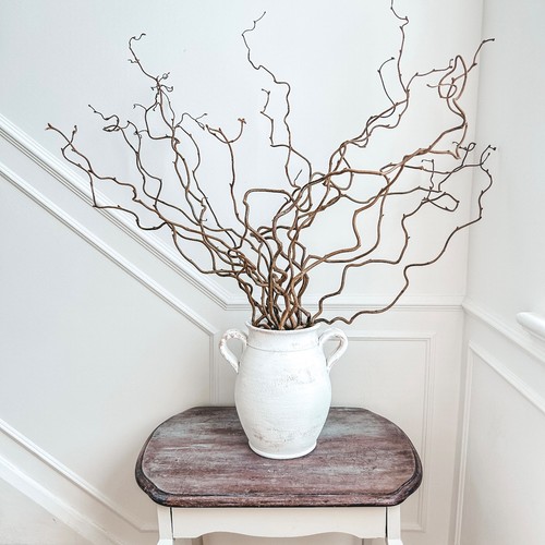 Twisted corylus hazel - 5|10|20,