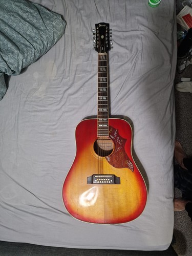 Vintage 1970s ibanez - vintage, concord