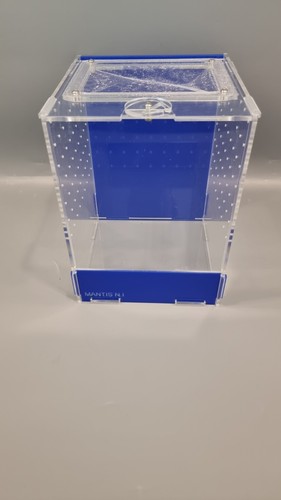 Blue mantis medium - medium,