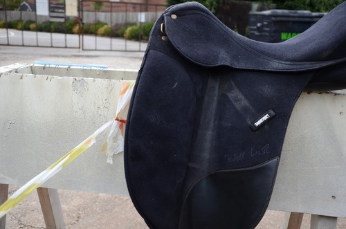 Dressage saddle 5 - saddle, 17.5