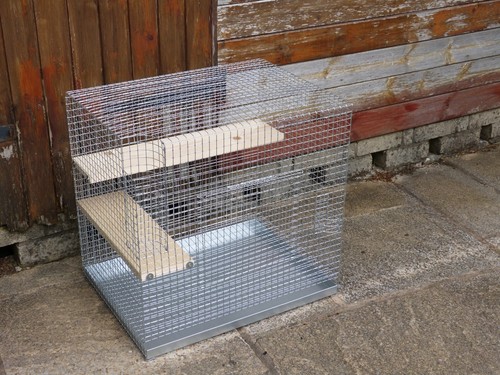 Chinchilla cage - chinchilla,