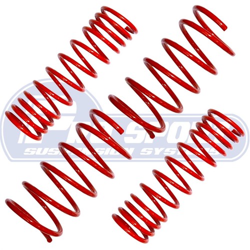 Pro sport lowering springs - pro,