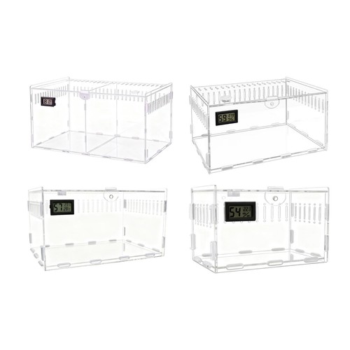 Acrylic spider enclosure - acrylic,