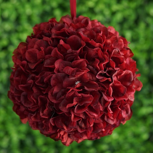 Wine hydrangea wide - 4,