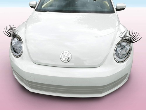For beetle - beetle, (2012-2019)