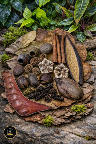 Blackwater aquarium botanicals - blackwater,