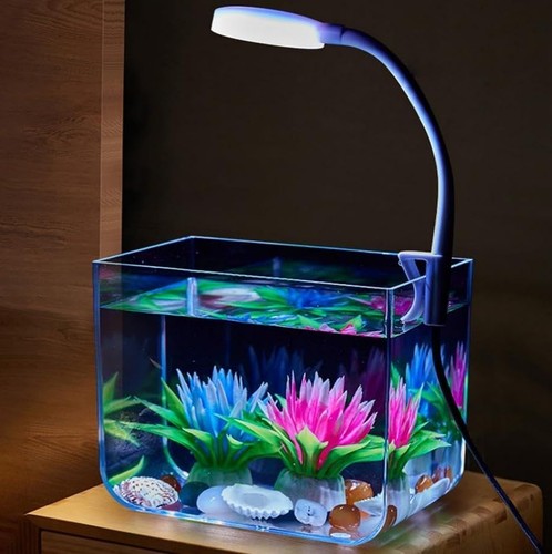 Small aquarium fish tank - small,