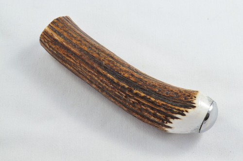 New stag horn antler - new,