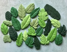 26 Mixed  Coloured Leaves
