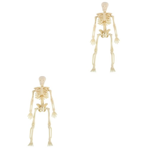 Pcs fake skeleton prop - pcs,