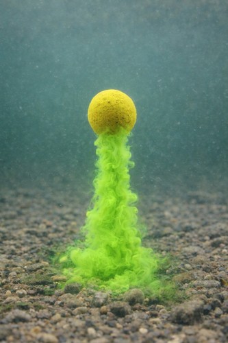 Pop boilies bait - up,