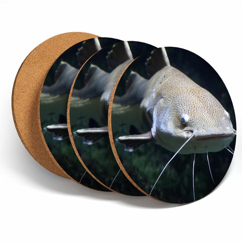 Set redtail catfish fish - set,