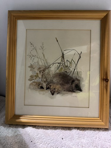 Vintage pine framed art print - vintage,