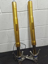 Ducati Panigale 1199s Ohlins