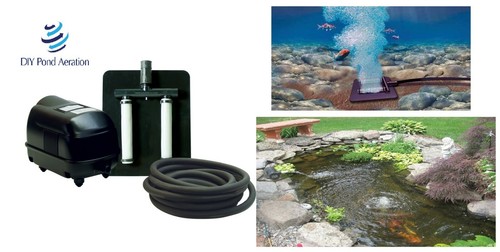 New septic fish - new, pond