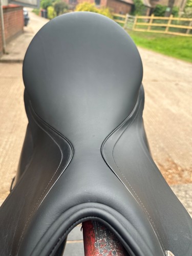 Albion slk dressage - albion,