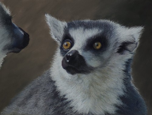 Original pastel lemur - original,