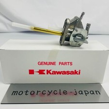 Kawasaki Genuine W650 EJ650