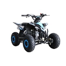 QUAD BIKE PETROL 110CC PROMAX