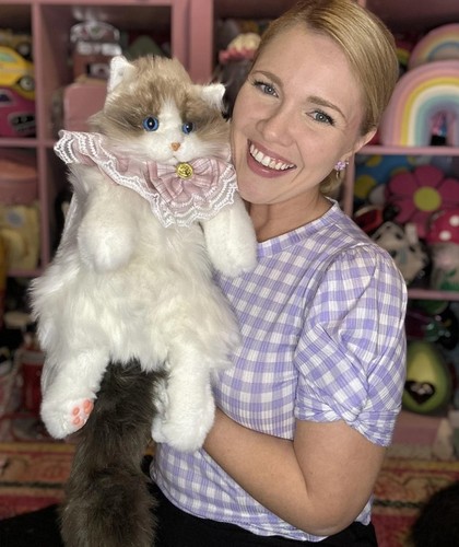 Chongker ragdoll cat - cat, backpack