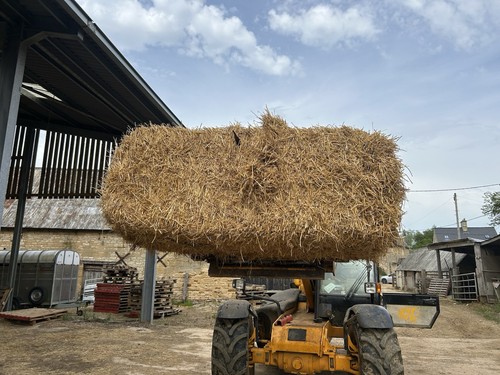 Wheat straw string bales - wheat, 4