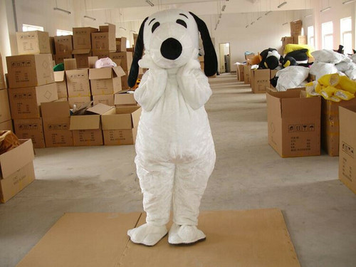 Halloween long fur - halloween,