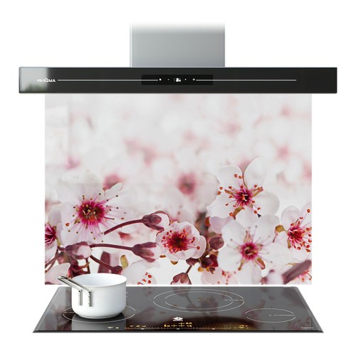 Kitchen glass splashback - kitchen,