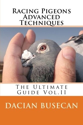 Racing pigeons advanced - racing,