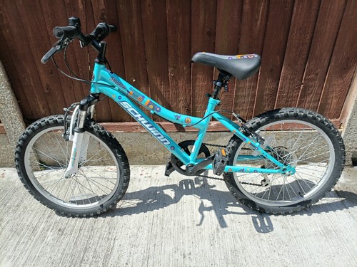 Childs inch mountain bike - childs,
