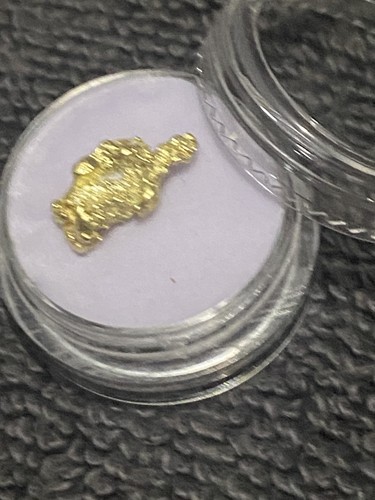 83g raw gold alaskan - raw,