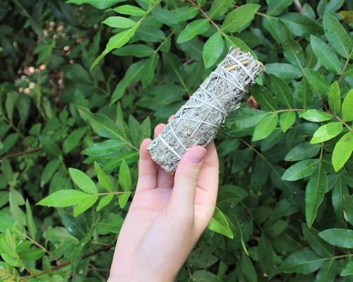 Blue sage smudge stick 5 - 1,