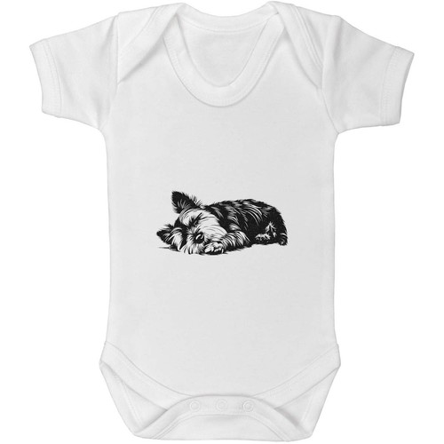 Yorkshire terrier asleep - 'yorkshire,