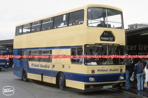 Bus photo midland bluebird - bus,
