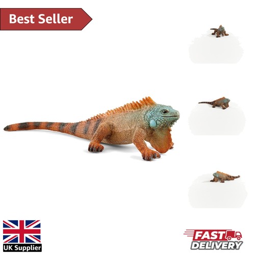 Durable mini iguana - iguana, figurine