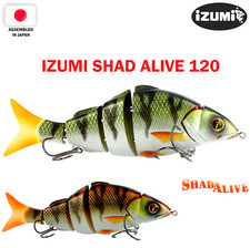IZUMI SHAD ALIVE 120 12 cm, 29