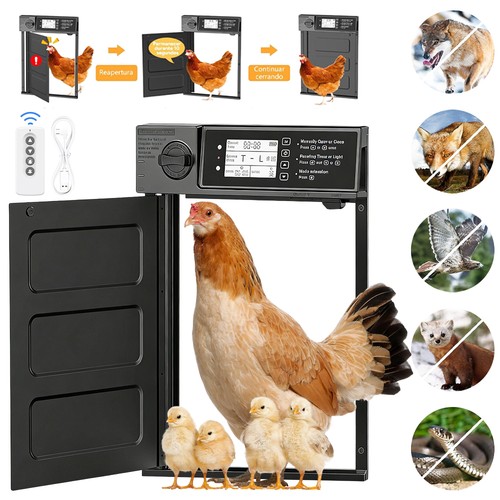 Large chicken coop door - large, opener