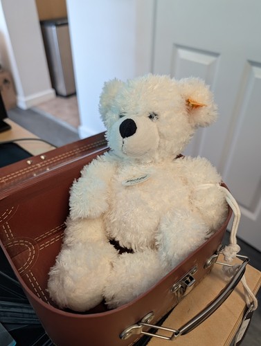 Steiff lotte teddy bear - lotte,