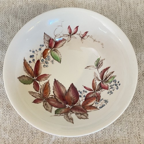 Virginia creeper johnson bros - creeper,