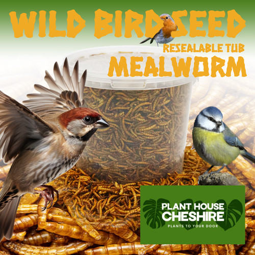 Wild bird premium dried - premium,