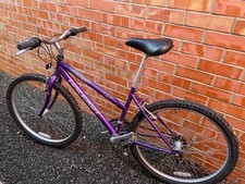 Vintage Raleigh Montage