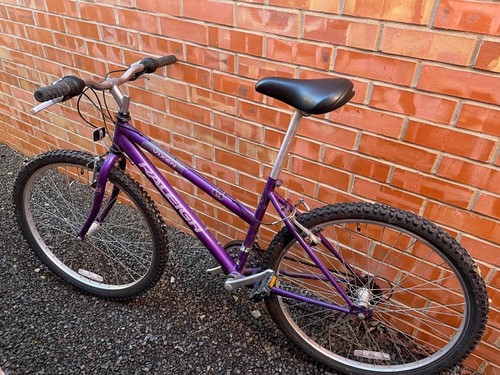 Vintage raleigh montage - raleigh,