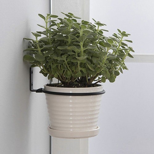 Pcs flower pot - plant, wall