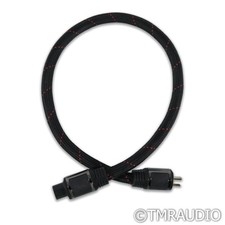 PS Audio Perfectwave AC-10